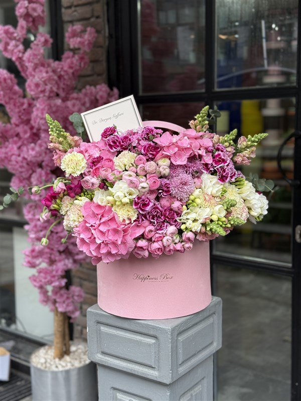 Pembe Kadife Kutuda Pembe Ortanca ve Erengüller