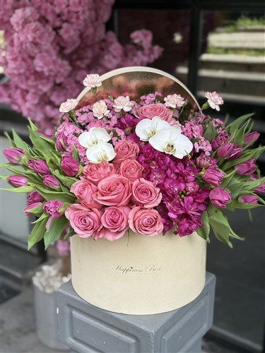 Daniela Bej Kadife Kutuda Laleler ve Güller