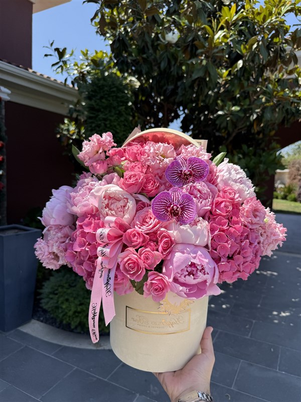 Isabella Krem Kadife Kutuda Pembe Şakayıklar ve Ortanca