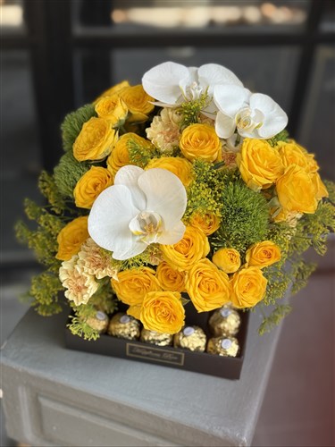 Lucia Sarı Güller ve Çikolatalar