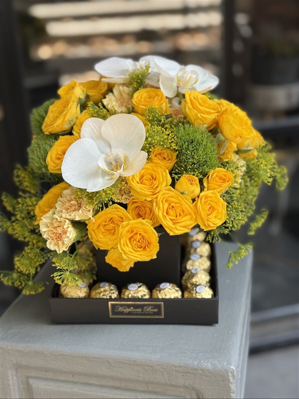 Lucia Sarı Güller ve Çikolatalar