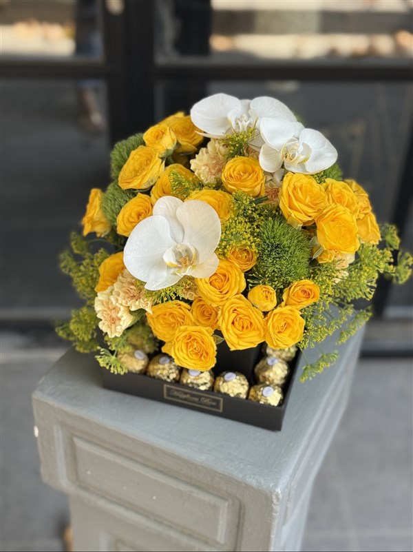 Lucia Sarı Güller ve Çikolatalar