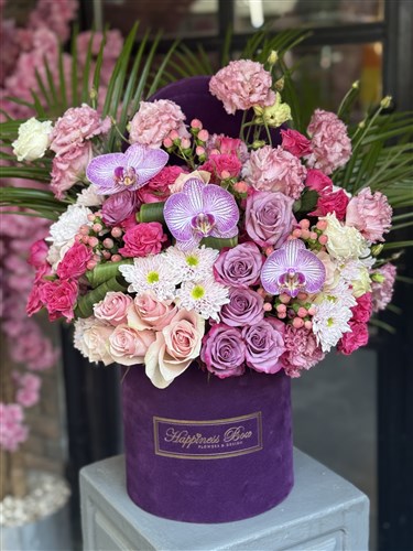 Alessia Mor Kutuda Pembe Mor Çiçekler