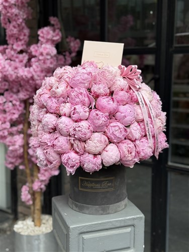 100 Deluxe Şakayık - Luxury 100 Peonies