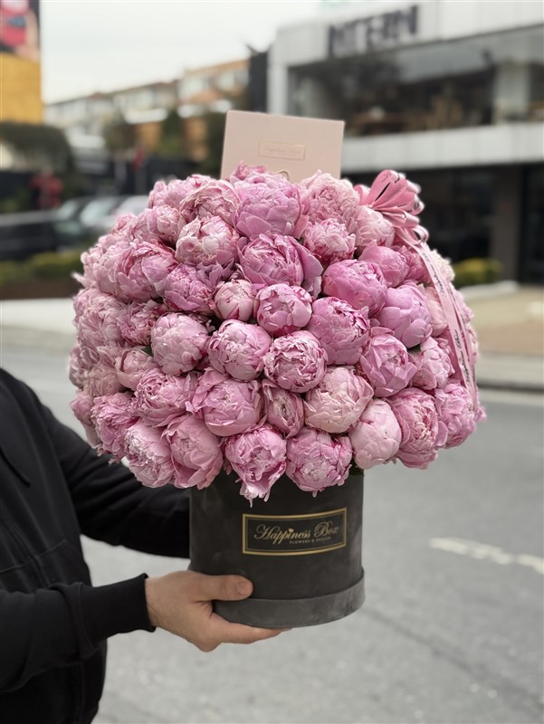 100 Deluxe Şakayık - Luxury 100 Peonies