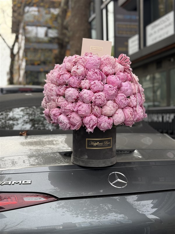 100 Deluxe Şakayık - Luxury 100 Peonies