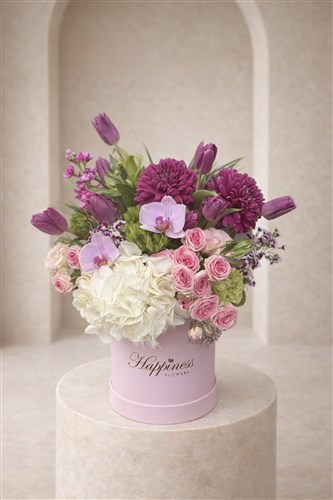 Candy Kutuda Aranjman