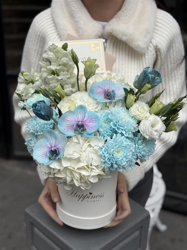 Blue Harmony Beyaz Ortanca Mavi Orkide