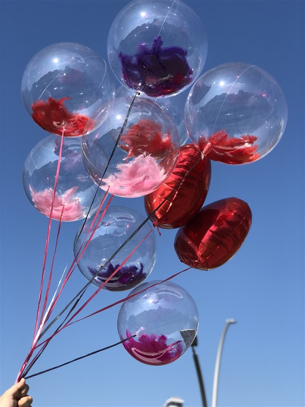 Şeffaf Tüylü Balon Demeti
