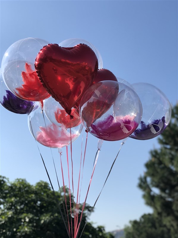 Şeffaf Tüylü Balon Demeti