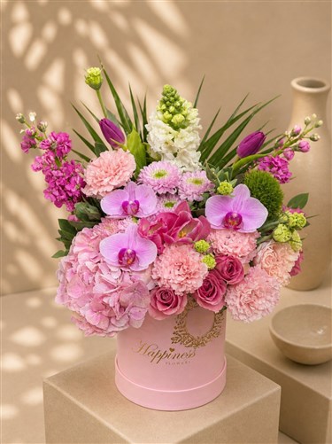 Pink Blossom Pembe Kutuda Pembe Mevsim Çiçekleri