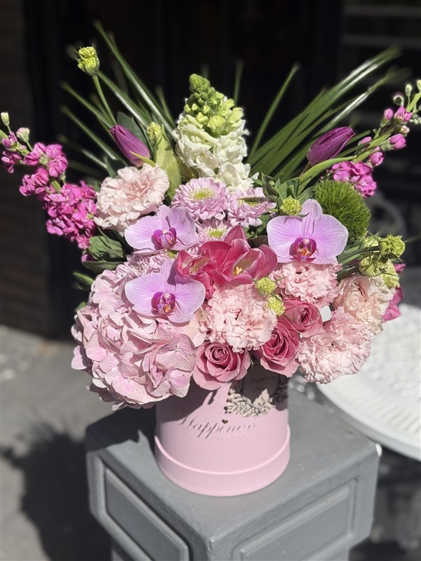 Pink Blossom Pembe Kutuda Pembe Mevsim Çiçekleri