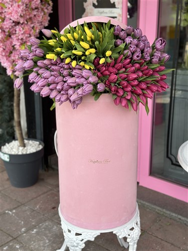 Dev Kutuda Lale Bahçesi