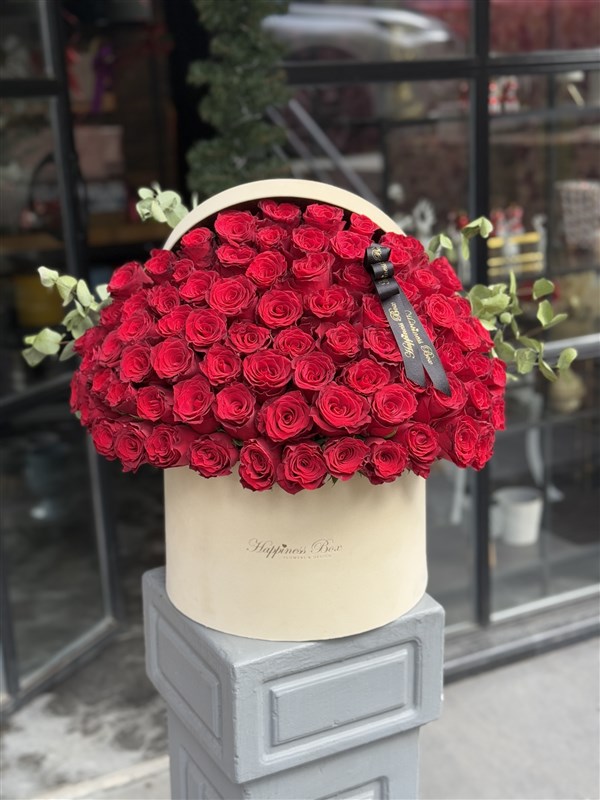 Bej Kadife Kutuda Deluxe Kırmızı Güller