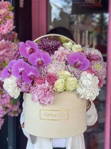 Bej Kutuda Orkide ve Ortanca Aranjmanı