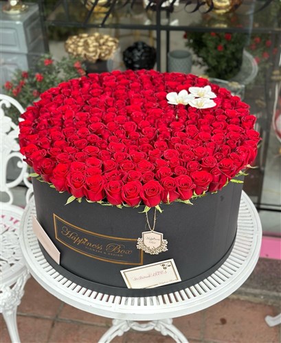 Dev Kutuda Yüzlerce Gül