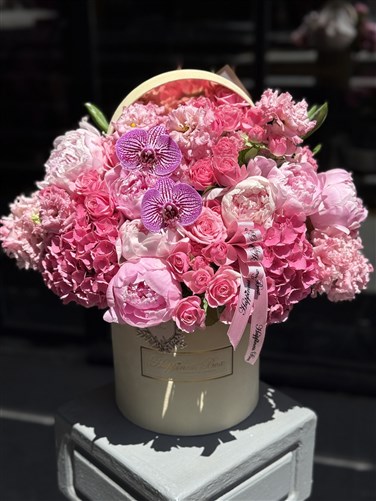 Isabella Krem Kadife Kutuda Pembe Şakayıklar ve Ortanca