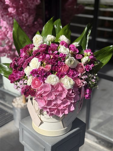 Jessica Bej Kadife Kutuda Pembe Bahar Çiçekleri