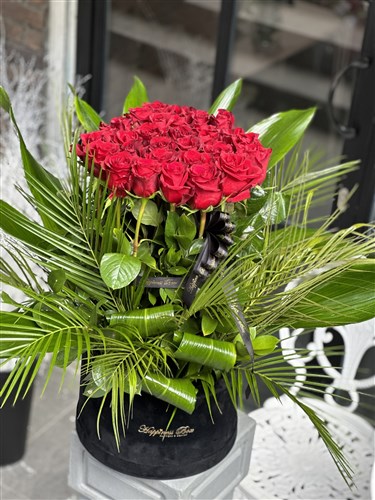 Kırmızı Güller İle Dev Aranjman