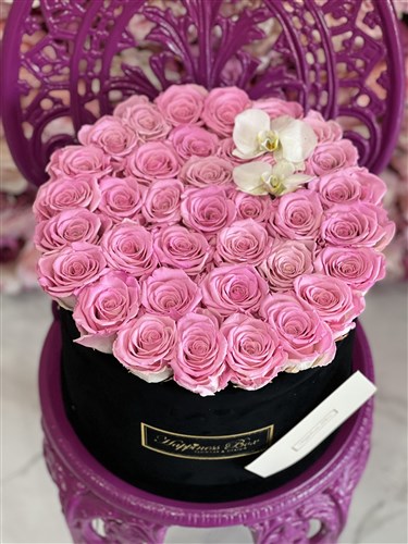 Mega Kutuda Pembe Solmayan Ekvator Gülleri