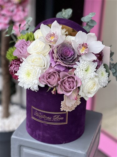 Mor Kadife Kutuda Lila - Beyaz Aranjman