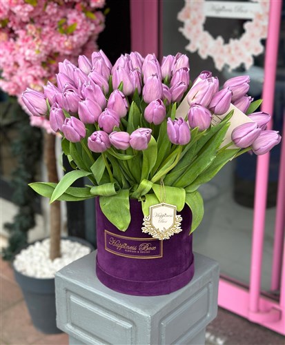 Mor Kadife Kutuda Lila Laleler