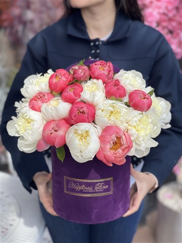 Mor Kadife Kutuda Mercan - Beyaz Şakayıklar