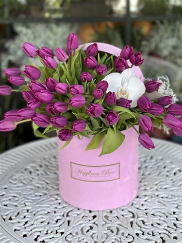 Pembe Kadife Kutuda Mor Laleler