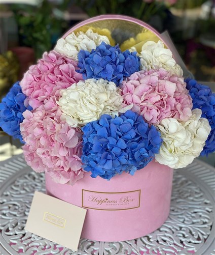 Pembe Mega Kutuda Ortancalar