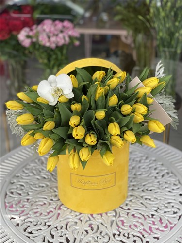 Sarı Kadife Silindir Kutuda Sarı Laleler