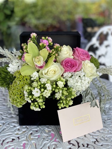 Siyah Kadife Kapaklı Kutuda Beyaz Aranjman