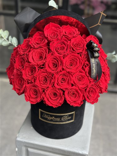 Siyah Kadife Kutuda Kırmızı Solmayan Güller - Şoklanmış Güller