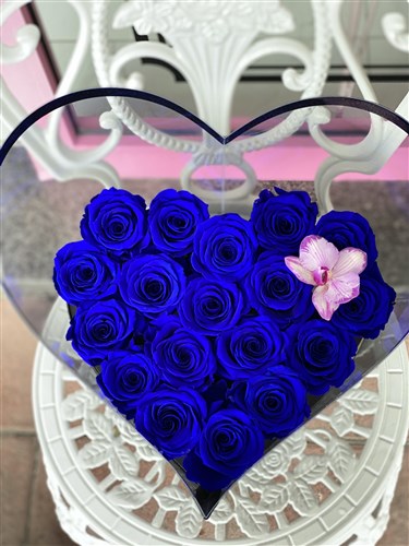 Siyah Kalp Asetat Kutuda Mavi Solmayan Güller