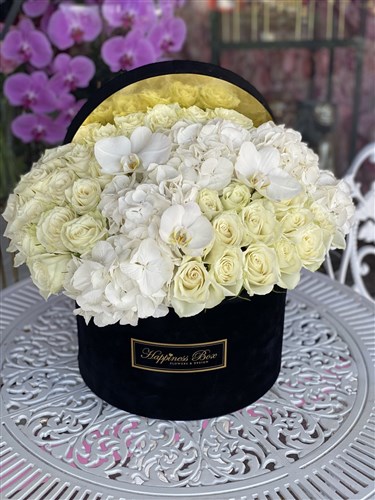 Siyah Lüks Kutuda Beyaz Güller ve Ortancalar