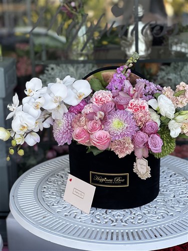 Siyah Mega Kutuda Orkideli Aranjman