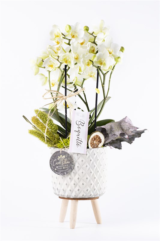 White Elegance Orkide Mix