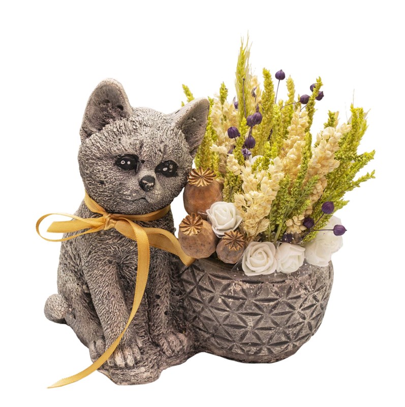 Sevimli Kedi Kuru Çiçek Tasarımı