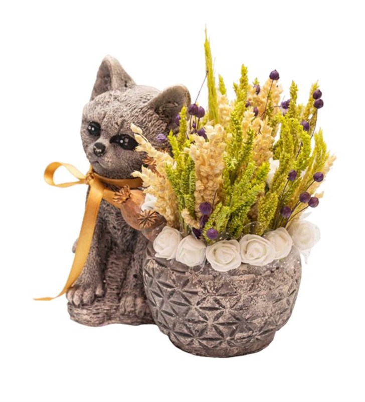 Sevimli Kedi Kuru Çiçek Tasarımı