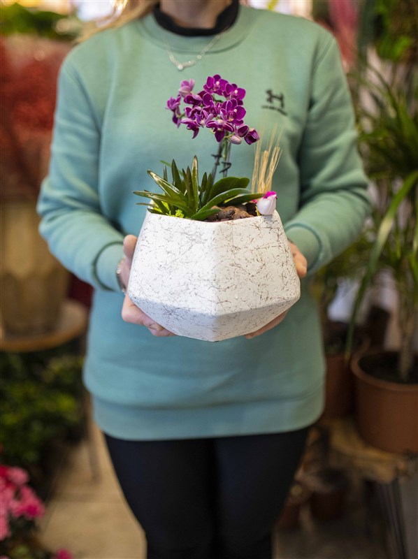 Dekoratif Vazoda Mini Orkide ve Sukulent Tasarımı