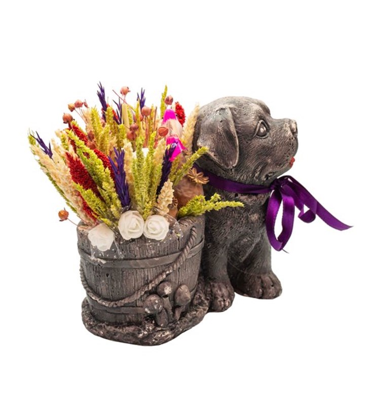Sevimli Köpek Vazoda Kuru Çiçek Tasarımı
