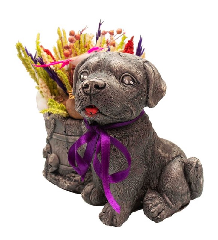 Sevimli Köpek Vazoda Kuru Çiçek Tasarımı