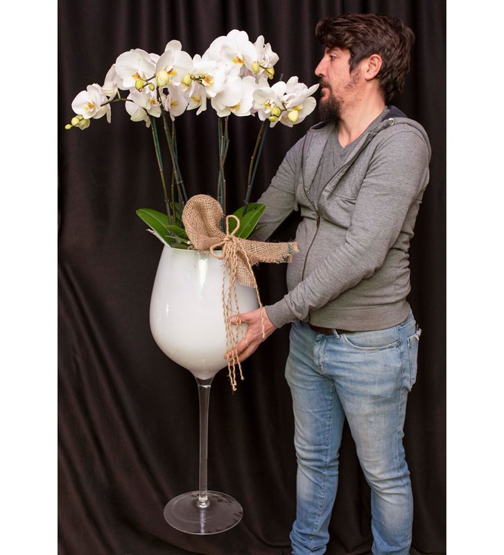 Kadeh Vazoda Vip Beyaz Orkide Tasarımı