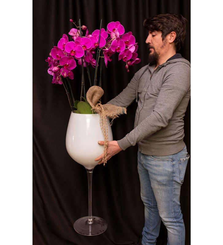 Kadeh Cam Vazoda Vip Fuşya Orkide Tasarımı