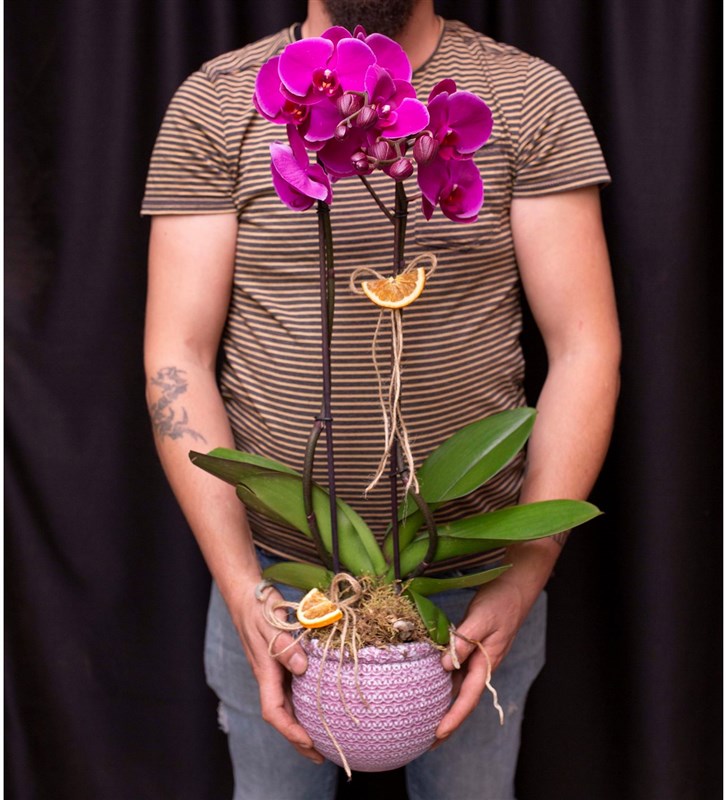 Eskitme Polyester Vazoda Çift Dal Fuşya Orkide Tasarımı
