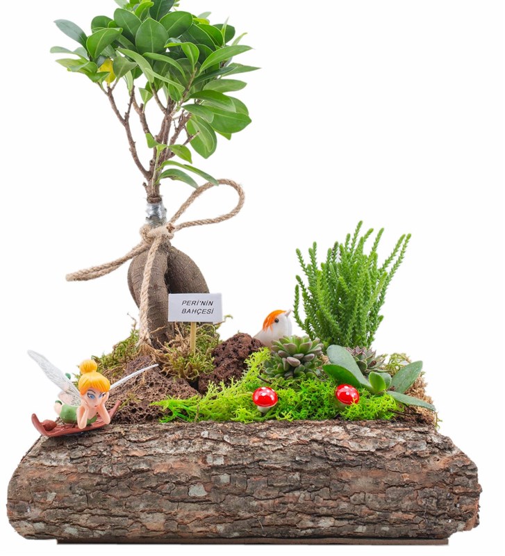 Perili Minyatür Bonsai Bahçesi