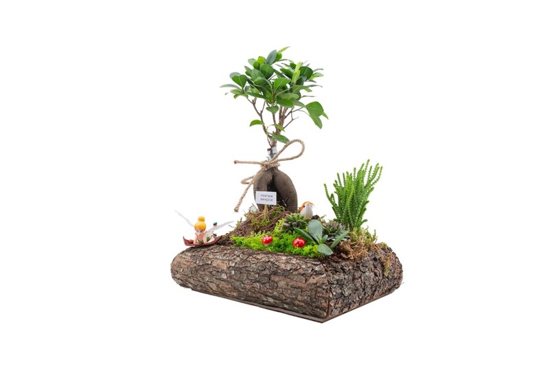 Perili Minyatür Bonsai Bahçesi