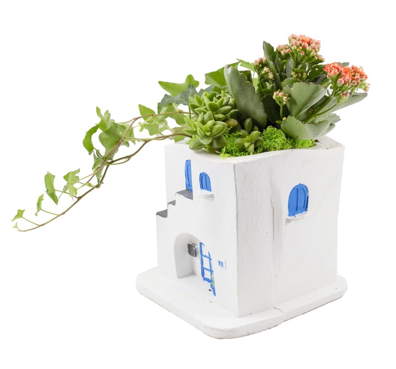 Bodrum Evi Mini Bitki Tasarımı