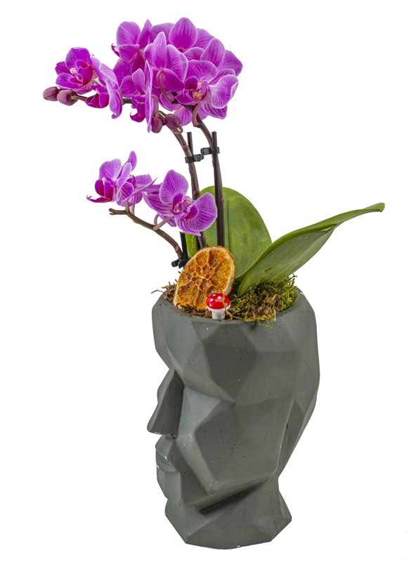 Dekor Vazoda Mini orkide Tasarımı
