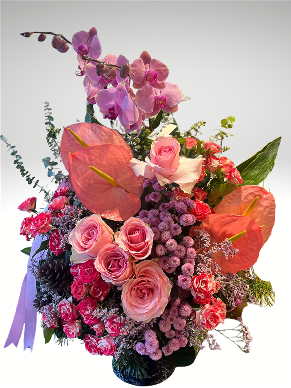 RENKLİ ORKİDE ARANJMANI