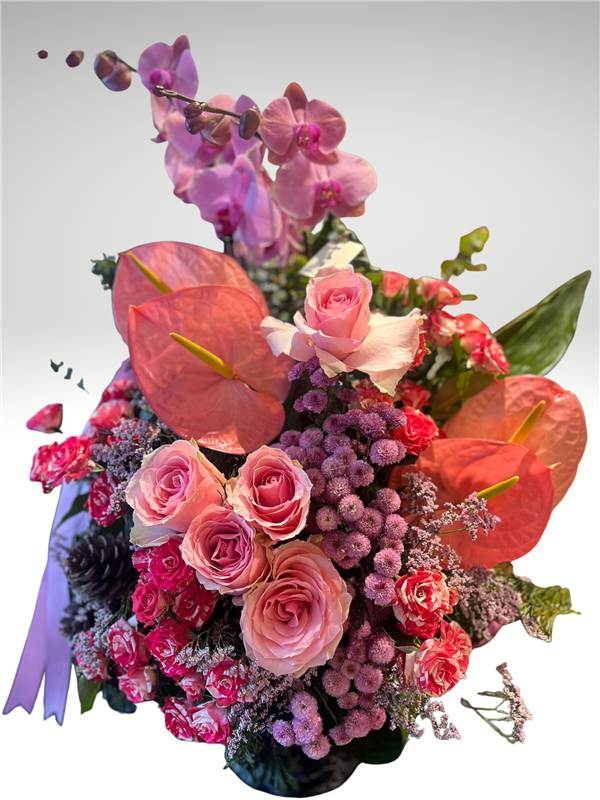 RENKLİ ORKİDE ARANJMANI